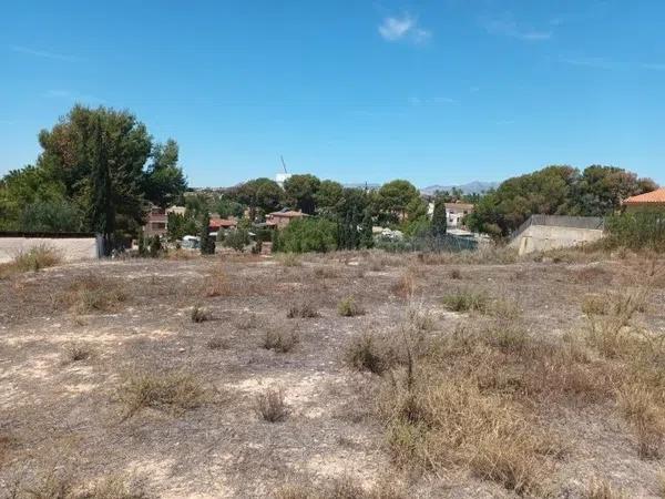 Terreno en calle Pintor Llorens Casanova