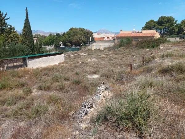 Terreno en calle Pintor Llorens Casanova