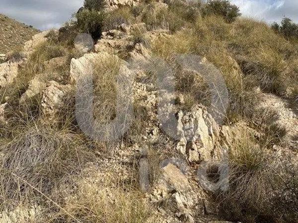 Terreno en Villamontes-Boqueres