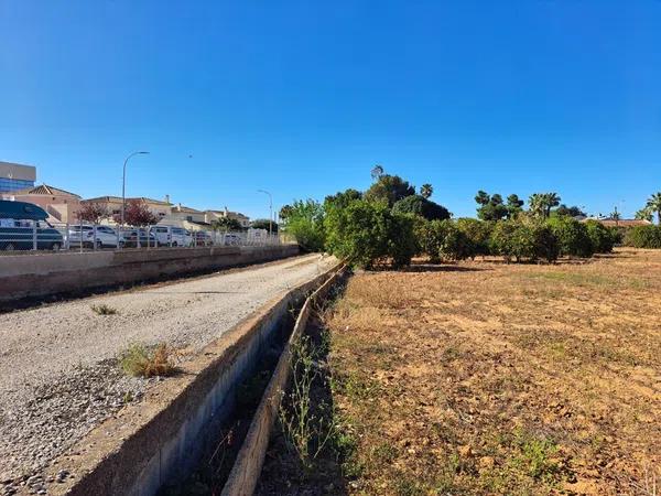 Terreno en calle Falutx