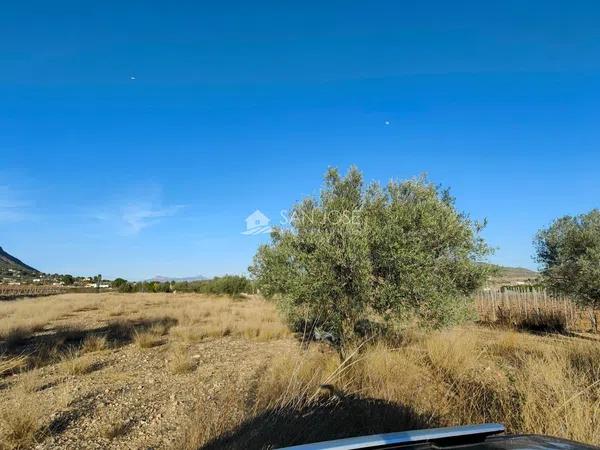 Terreno en Hondón de las Nieves