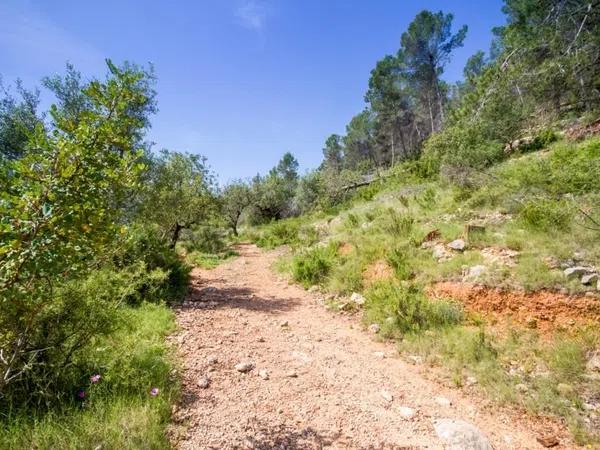 Terreno en Murla