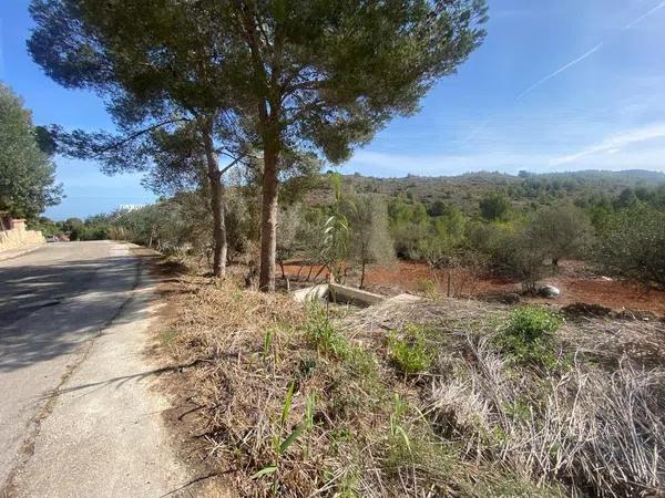 Terreno en El Montgó