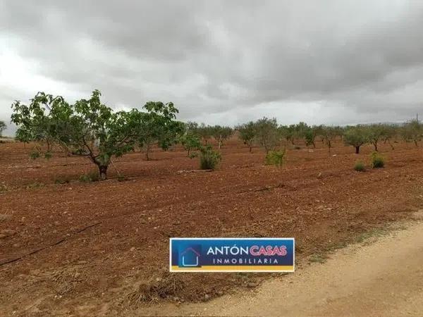 Terreno en Pinoso