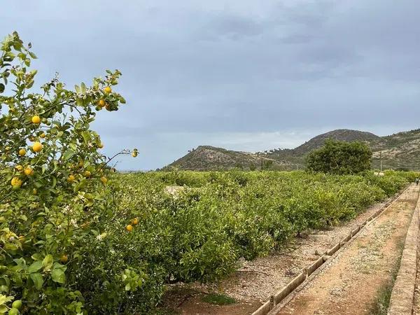 Terreno en Partida Gaia, 133