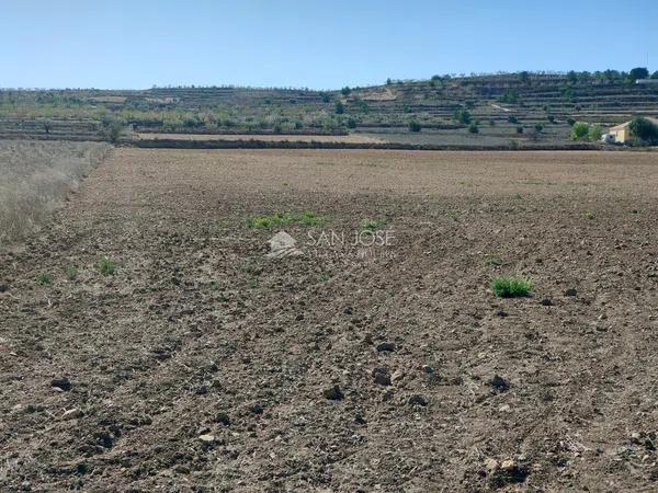 Terreno en La Murada-Los Vicentes