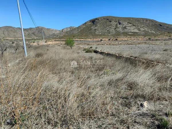 Terreno en La Murada-Los Vicentes