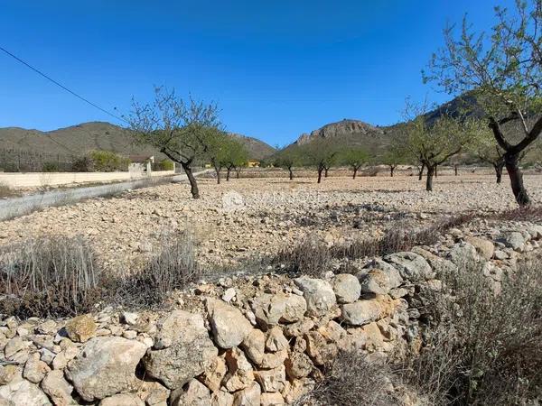 Terreno en La Murada-Los Vicentes