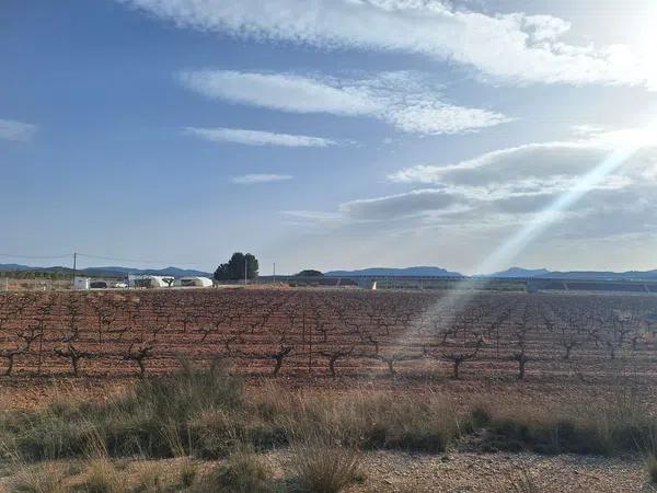 Terreno en Diseminado Pinoso, 2