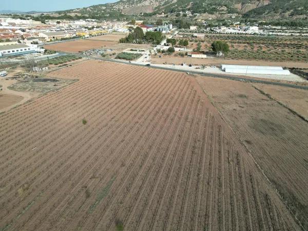 Terreno en Diseminado Pinoso, 2