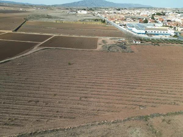 Terreno en Diseminado Pinoso, 2