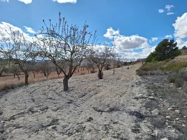 Terreno en Encebras s/n