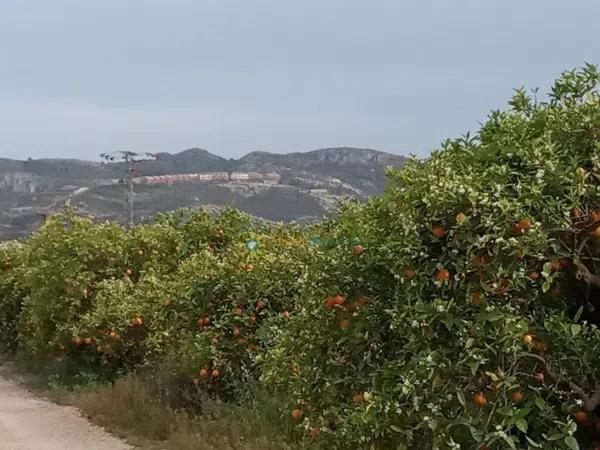 Terreno en Pego