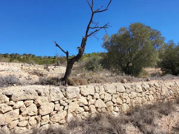 Terreno en Monovar