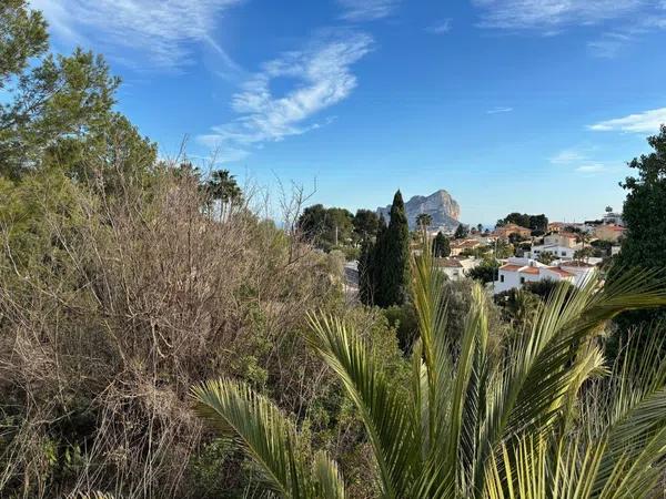 Terreno en Partida Tosal de la Cometa