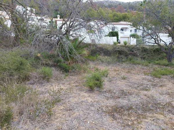 Terreno en calle Assagador