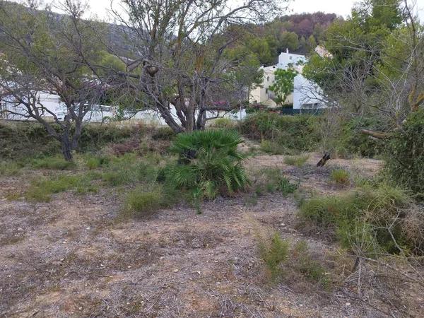 Terreno en calle Assagador