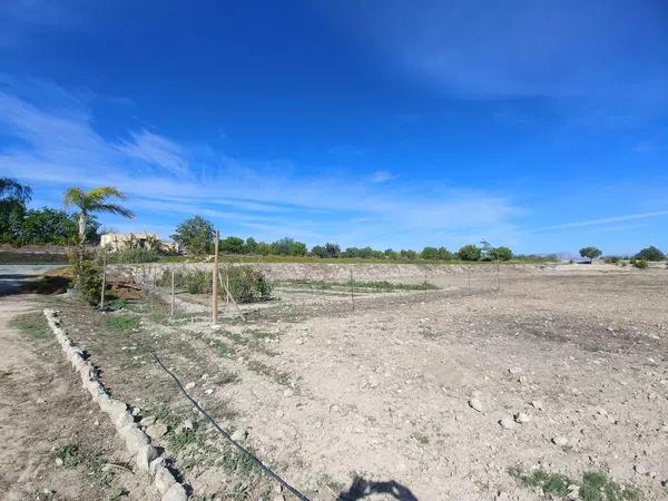 Terreno en Santa Ana, Elche, 163 Poligonoparcela