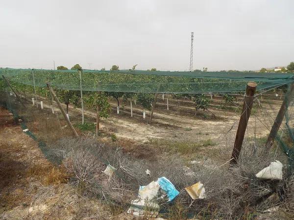 Terreno en Monforte del Cid