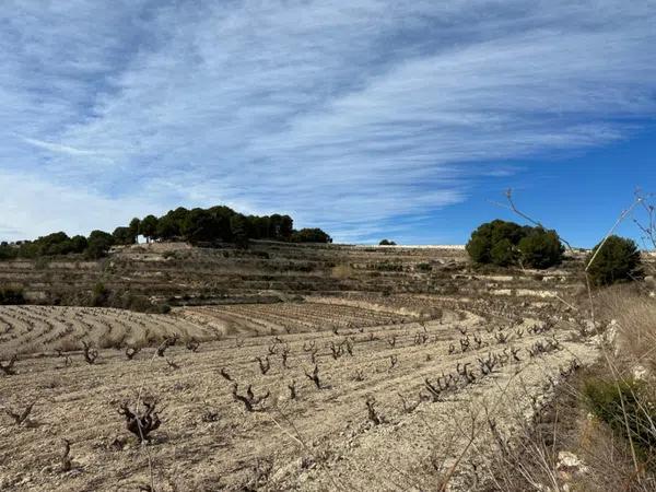 Terreno en Teulada