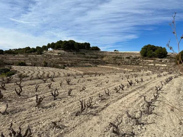 Terreno en Teulada