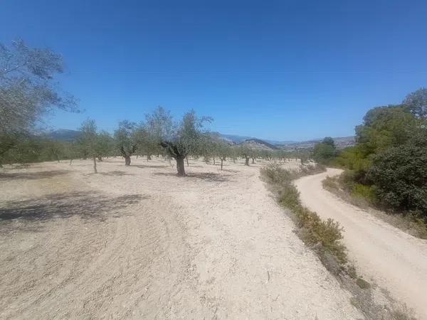 Terreno en Partida Petrosa s/n