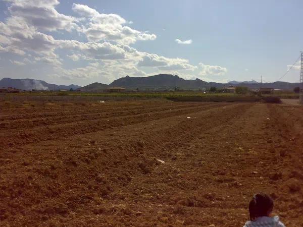 Terreno en camino Viejo de Hondón, 41 PolgonoParcela