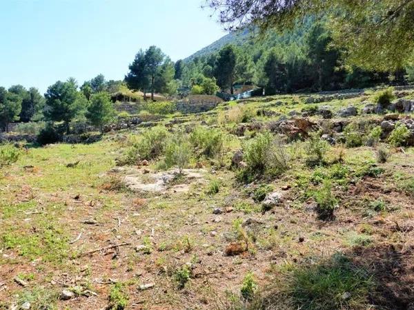 Terreno en carretera Partida Onaer s/n