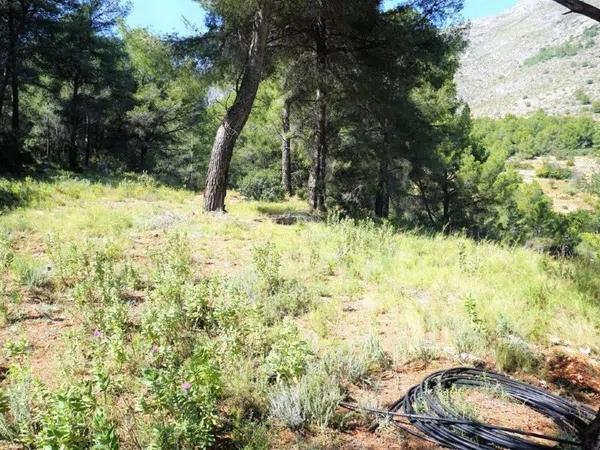 Terreno en carretera Partida Onaer s/n