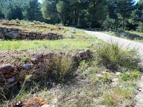 Terreno en carretera Partida Onaer s/n