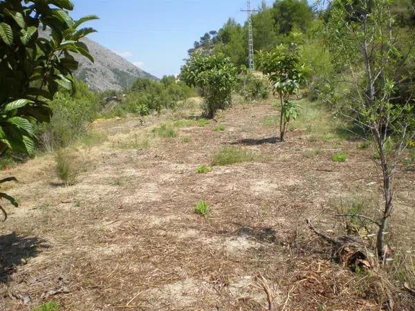 Terreno en carretera Bolulla