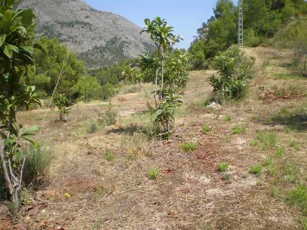 Terreno en carretera Bolulla