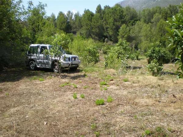 Terreno en carretera Bolulla