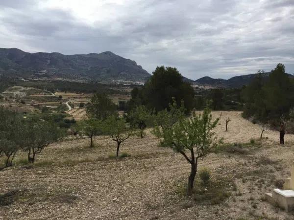 Terreno en Partida Torrosellas