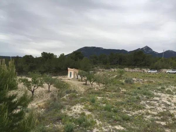 Terreno en Partida Torrosellas