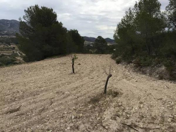 Terreno en Partida Torrosellas