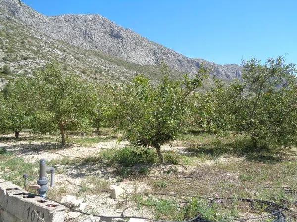 Terreno en Partida Racons