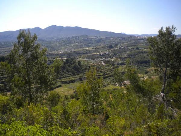 Terreno en Partida llenes