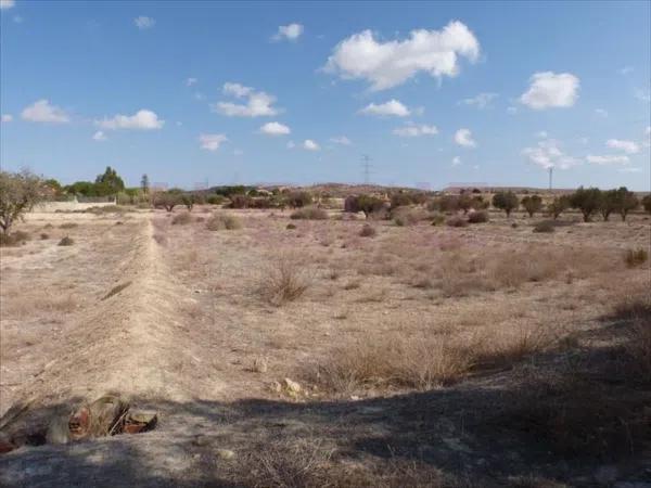 Terreno en La Huerta