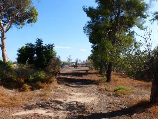 Terreno en La Huerta