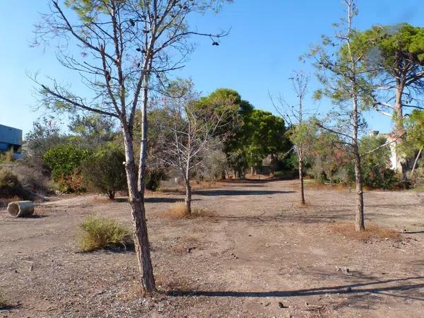 Terreno en La Huerta