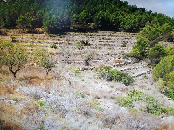 Terreno en Llíber s/n