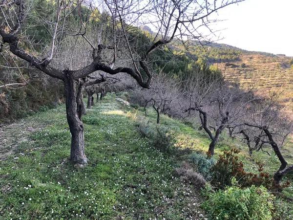 Terreno en Polígono 8 Parcela 55, 34