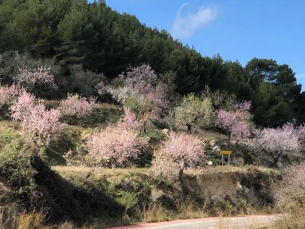 Terreno en Polígono 8 Parcela 55, 34