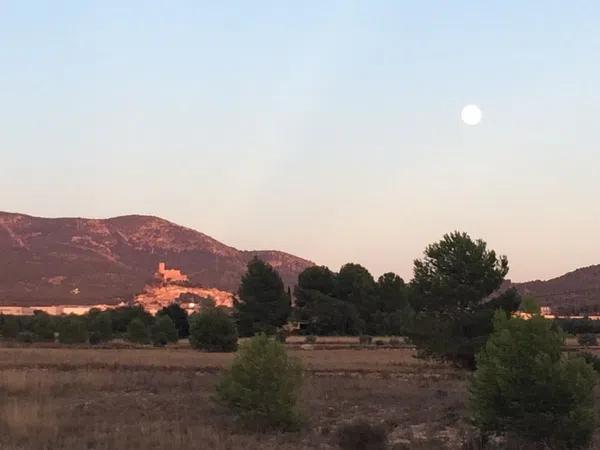 Terreno en els barrancons