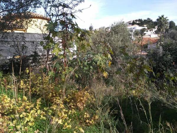 Terreno en camino Assagador del Pinar, 11