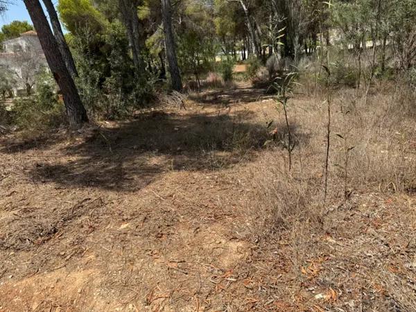 Terreno en Pinar de Advocat-Cometa