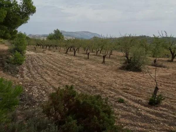 Terreno en poligono 7, 7 poligono