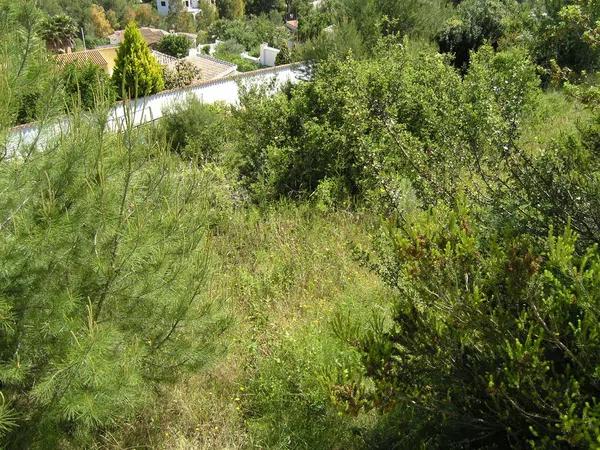 Terreno en Cala Advocat - Baladrar