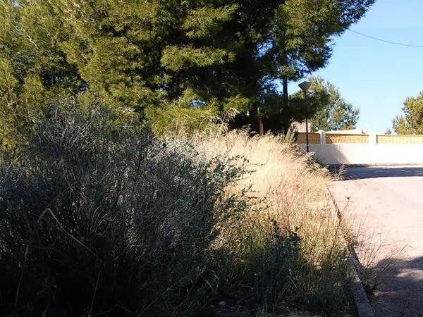 Terreno en Partida la Empedrola, 2